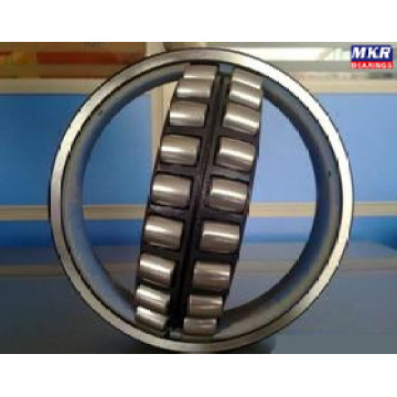 Spherical Roller Bearing 22206e